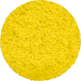 Norton® 2" Dia 36 Grit RazorStar Premium Ceramic Alumina Quick-Change Fiber Disc Norton® 2" Dia 36 Grit RazorStar Premium Ceramic Alumina Quick-Change Fiber Disc