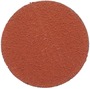 3M™ 2" 80 Grit Disc