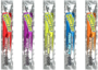 Sqwincher® 3 Ounce Assorted Flavors Electrolyte Freezer Pop No High Fructose Corn Syrup Electrolyte Freezer Pop Sqwincher® 3 Ounce Assorted Flavors Electrolyte Freezer Pop No High Fructose Corn Syrup Electrolyte Freezer Pop