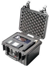 Pelican™ Protector® .23 cu ft Black Polypropylene Equipment Case